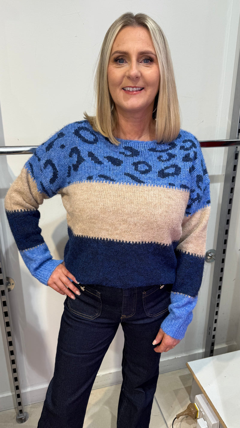 Zoe - Blue Animal Print Colour block Knit