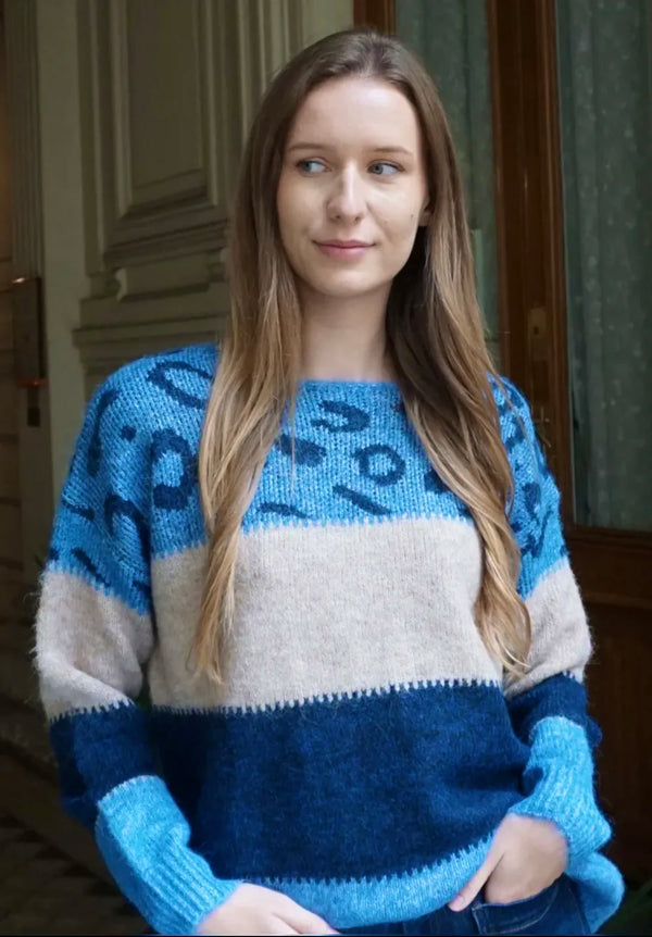 Zoe - Blue Animal Print Colour block Knit