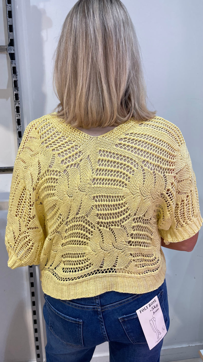 Chloe - Lemon Open Knit Batwing Top