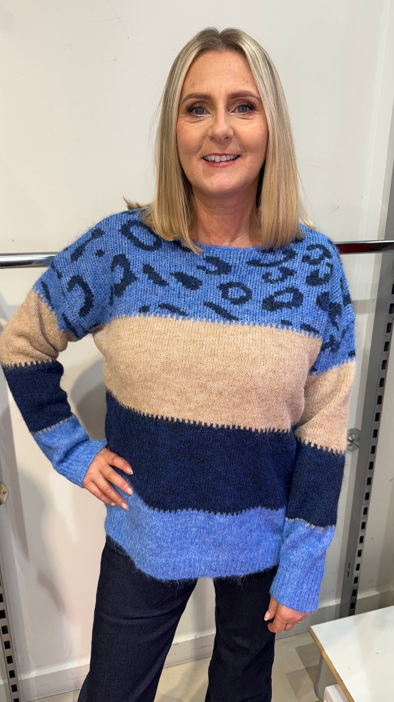 Zoe - Blue Animal Print Colour block Knit