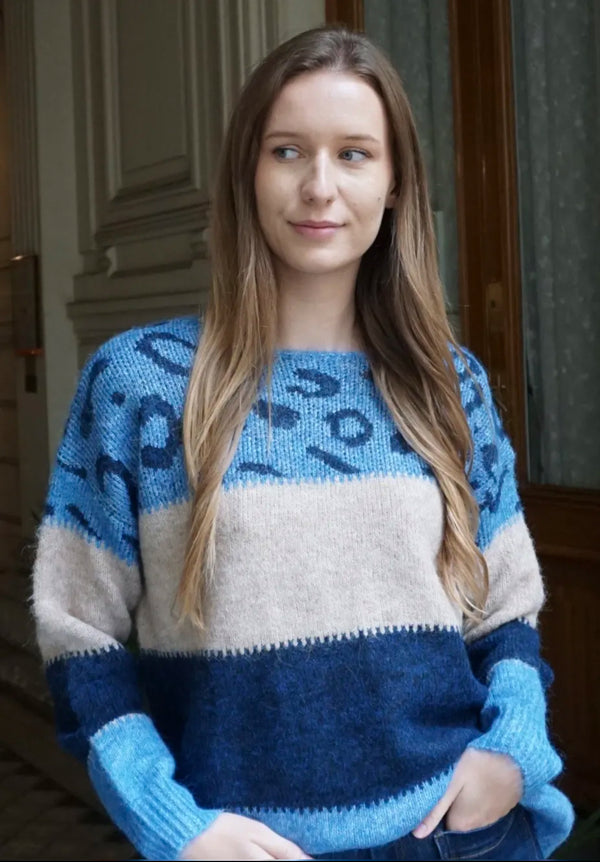 Zoe - Blue Animal Print Colour block Knit