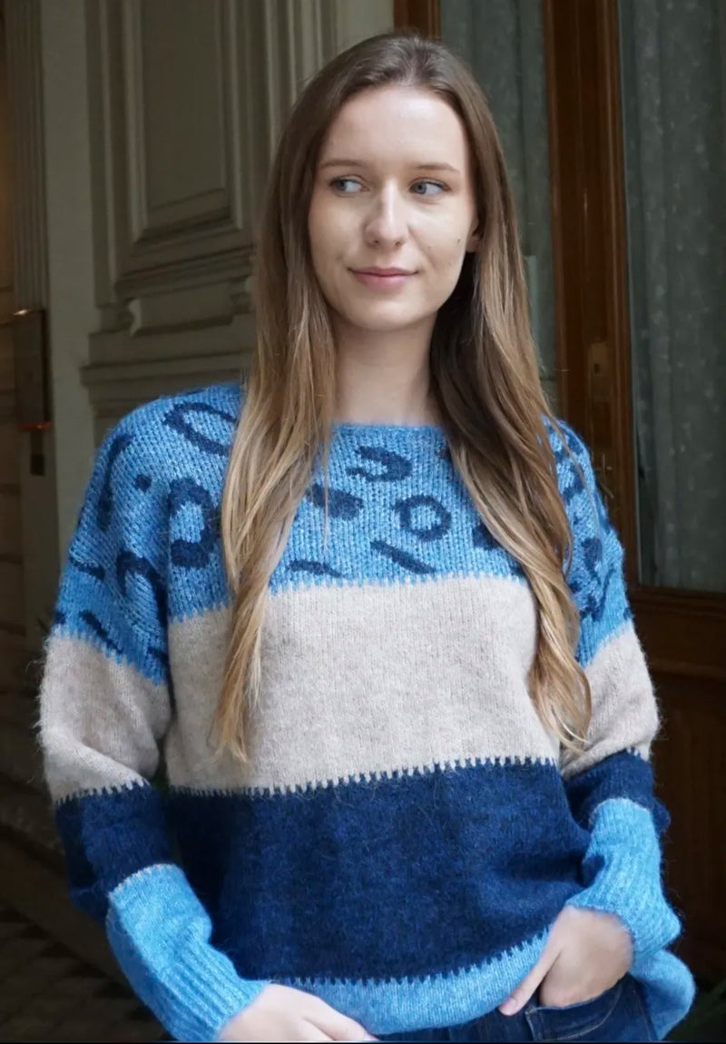 Zoe - Blue Animal Print Colour block Knit