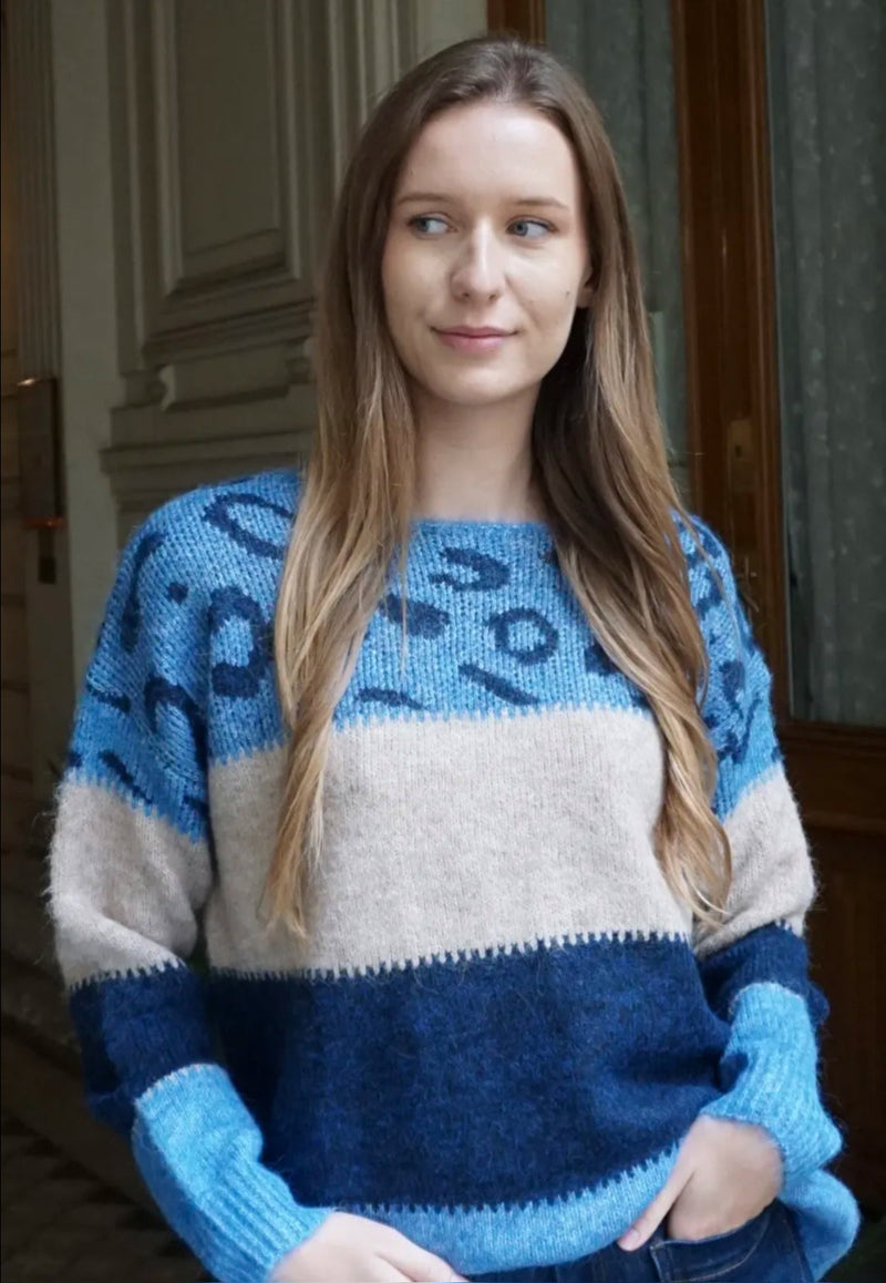 Zoe - Blue Animal Print Colour block Knit