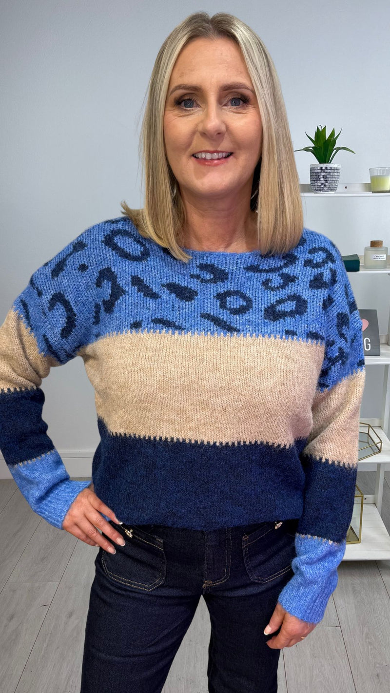 Zoe - Blue Animal Print Colour block Knit