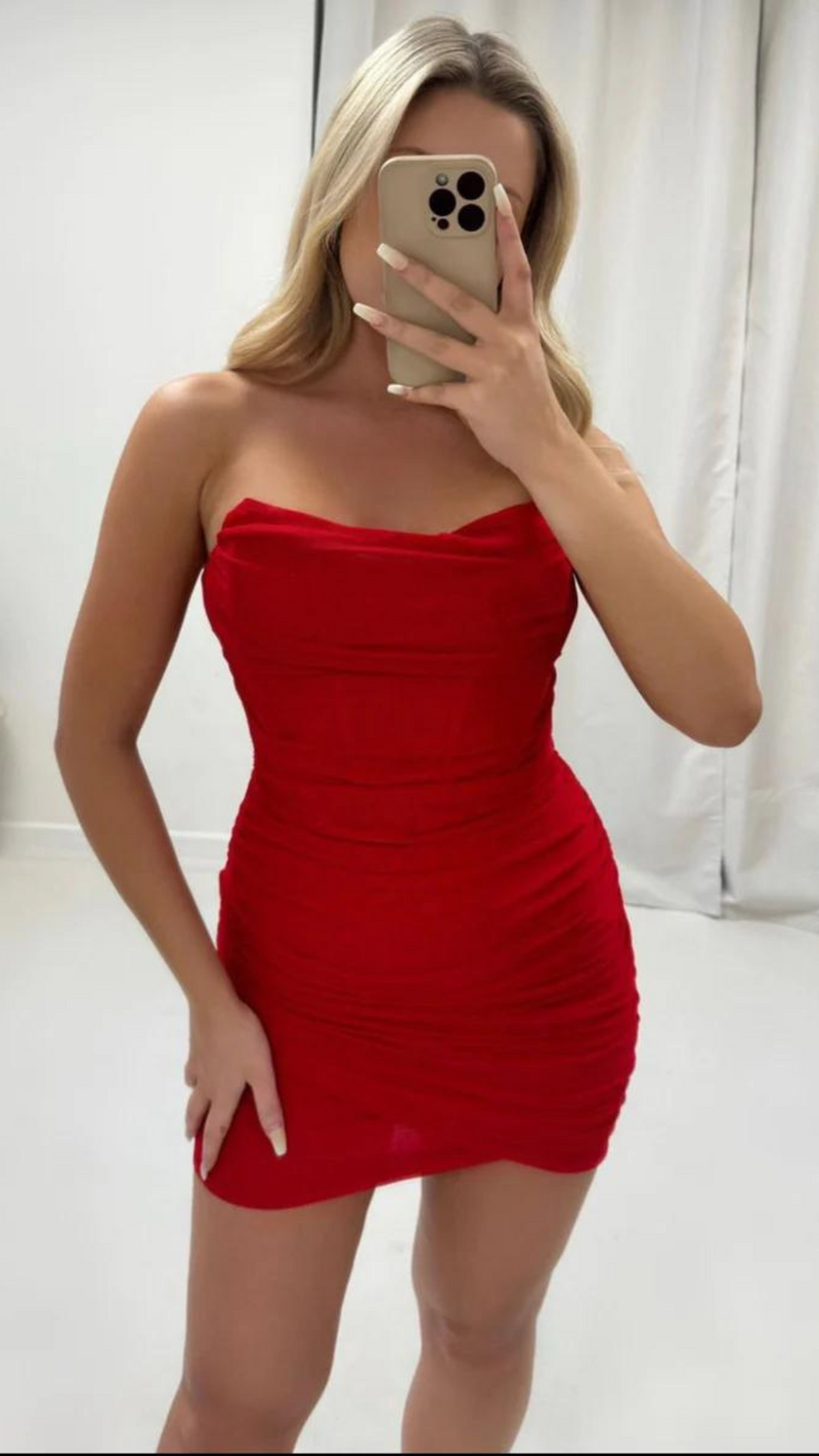 Penny - Red Mesh Bodycon Dress
